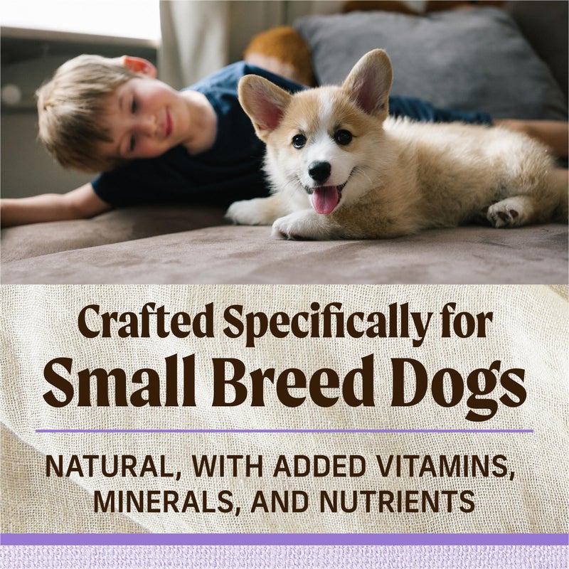 Merrick Lilâ€™ Plates Premium Grain Free Dry Puppy Food For Small Dogs, Real Chicken And Sweet Potato Kibble - 4.0 lb. Bag - Image 4